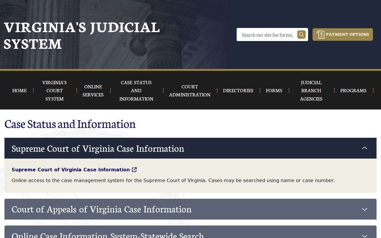 Virginia Judiciary case information options used for Chesapeake criminal records